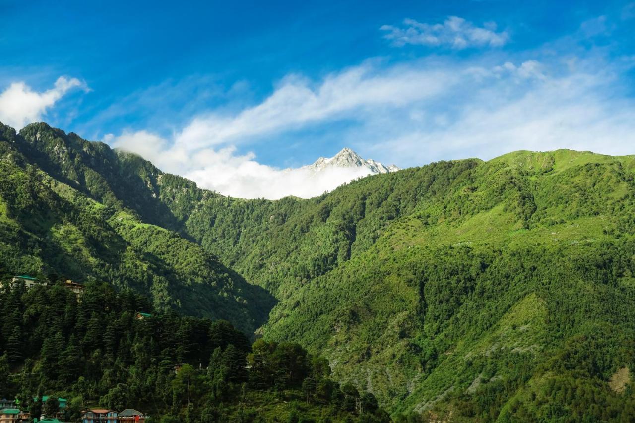 Mitra Mcleodganj Hostel McLeod Ganj Bagian luar foto